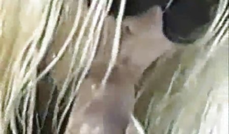 Seksi Putih pria hubungan saya dan Kemaluan saya bokep gay full movie